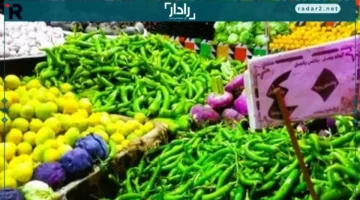أسعار الخضروات في مطروح اليوم 23-10-2025
